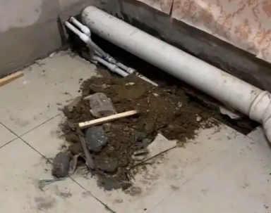 天涯卫生间漏水检测哪家好