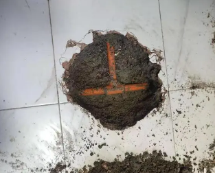 天涯查漏水多少钱