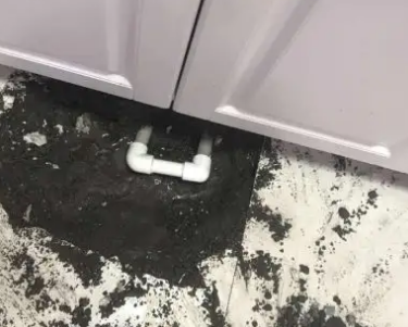 天涯查漏水哪家好